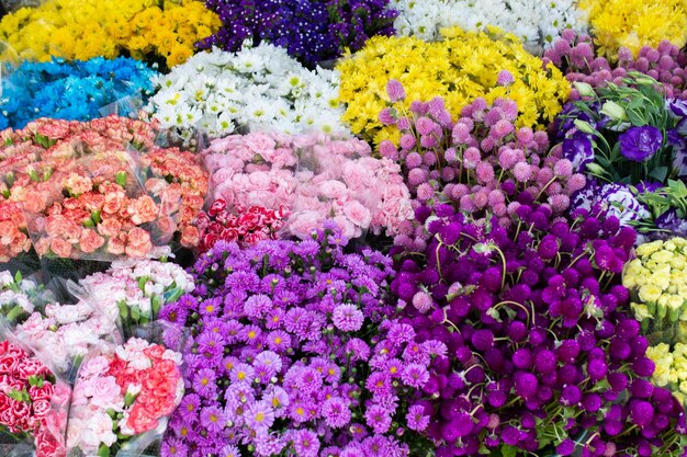 Verschiedene Pflanzen und Blumen in einem Blumenladen