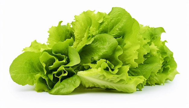 Verschiedene Salate auf weißem Hintergrund