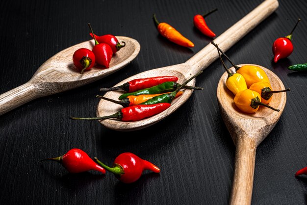 Verschiedene Sorten roter Chilischote und roter Paprika aus Brasilien in Holzlöffeln