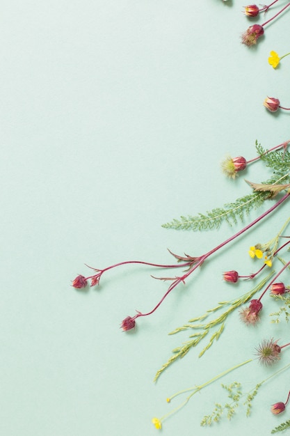 Verschiedene wilde Blumen auf Papierhintergrund