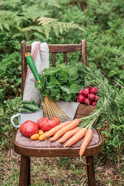 Verschiedenes frischgemüse auf dem holztisch. bio food-konzept.