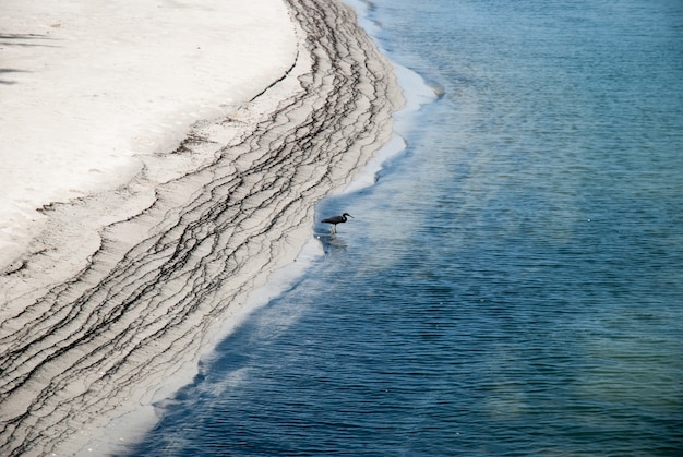 Foto verschmutztes meer