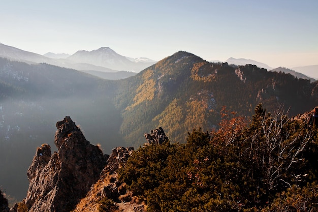 Verschneite Berglandschaft mit Felsen