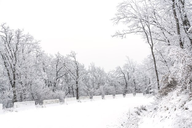 Verschneite Bergstraße im Winterwald