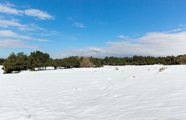 verschneite Landschaft im Norden in Israel