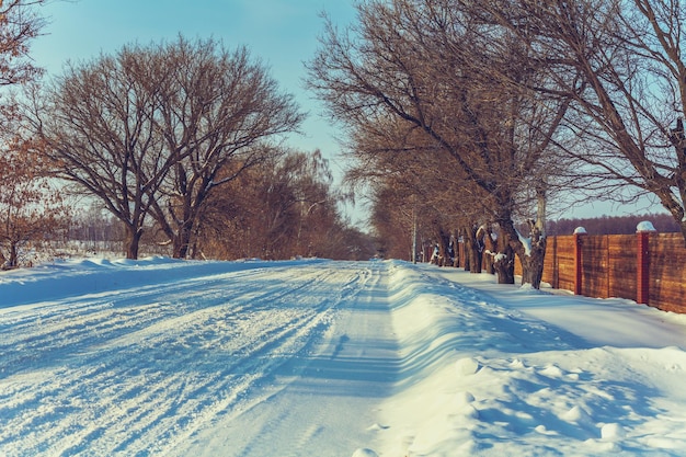 Verschneite Landstraße im sonnigen Wintertag