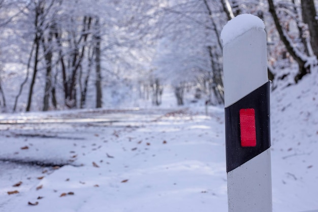 Verschneite Straße führt durch den Wald