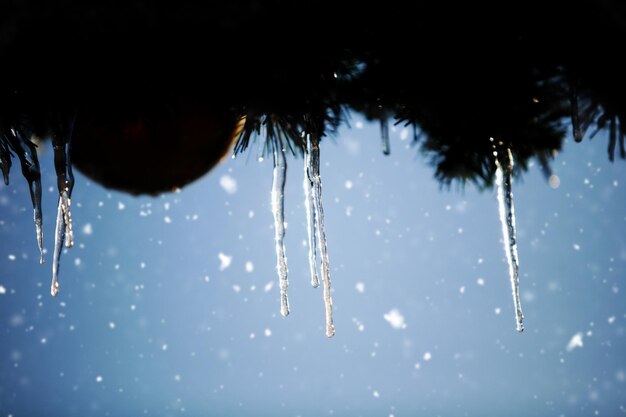 Foto verschneite weihnachten winter eiszapfen unter der traufe