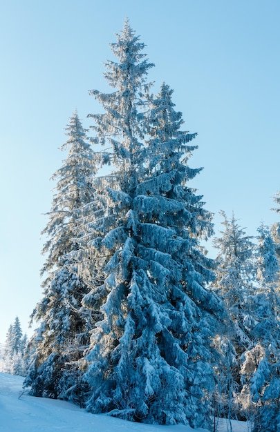 Verschneite Winterberglandschaft