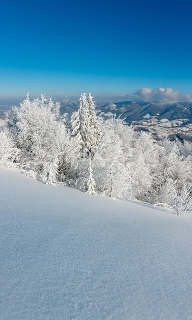 Verschneite Winterberglandschaft