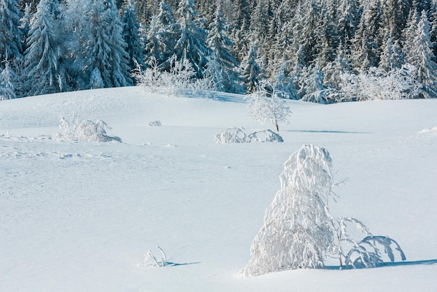 Verschneite Winterberglandschaft