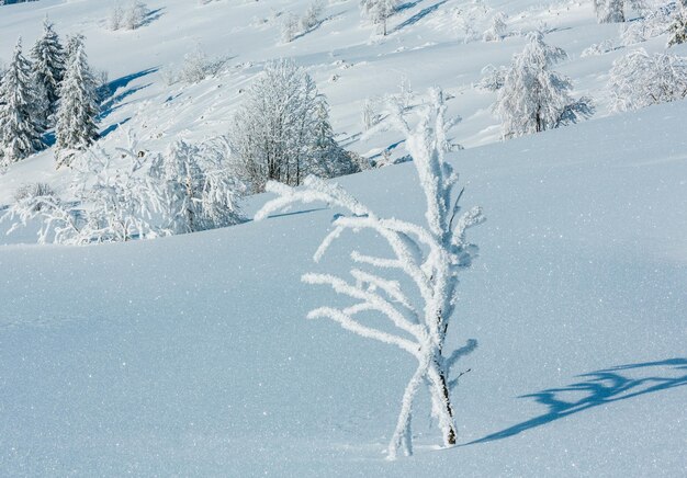 Verschneite Winterberglandschaft