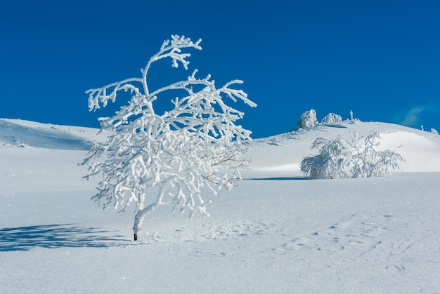 Verschneite Winterberglandschaft