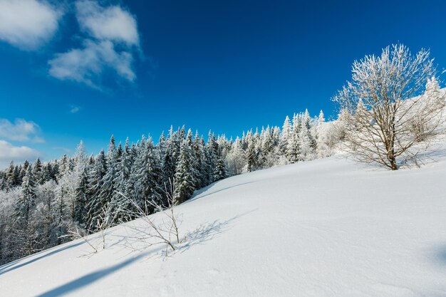 Verschneite Winterberglandschaft