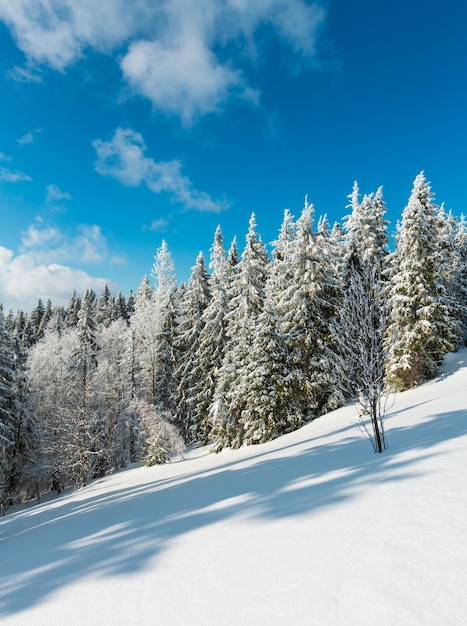 Verschneite Winterberglandschaft