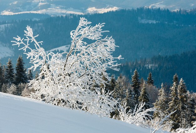 Verschneite Winterberglandschaft