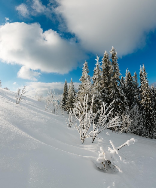 Verschneite Winterberglandschaft