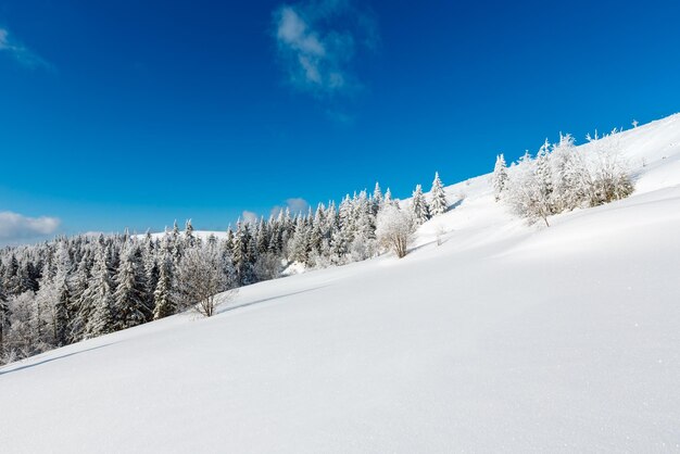 Verschneite Winterberglandschaft