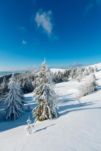 Verschneite Winterberglandschaft