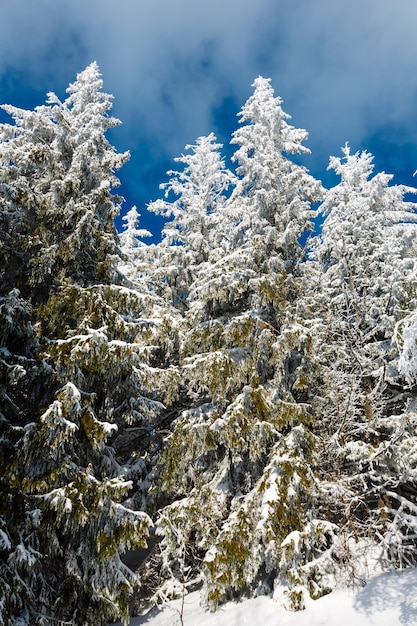 Verschneite Winterberglandschaft