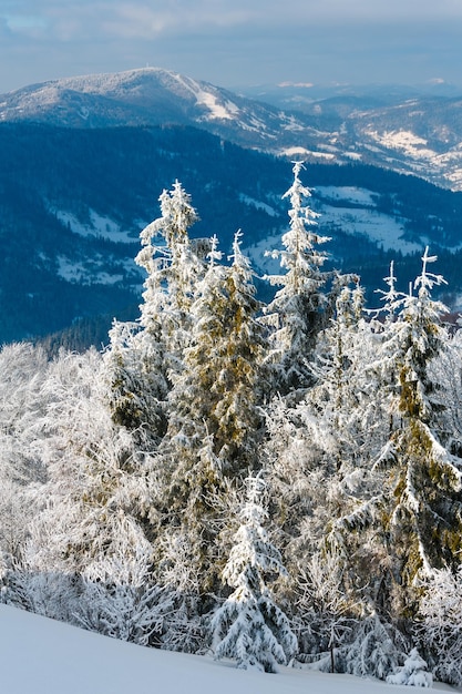 Verschneite Winterberglandschaft