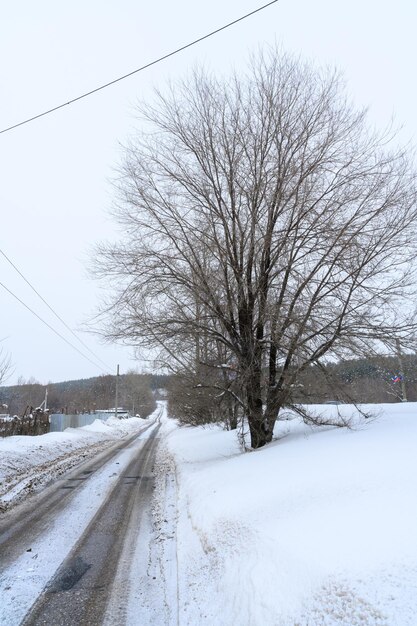 Verschneite Winterstraße in einem Bergwald