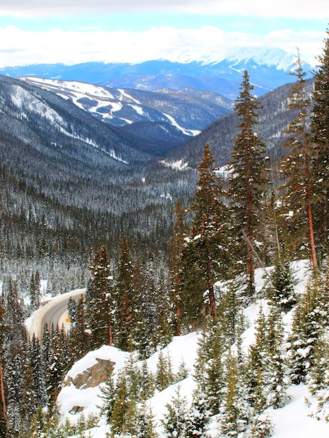 Verschneite Winterszene hoch im Berg. Colorado Rocky Mountains USA.