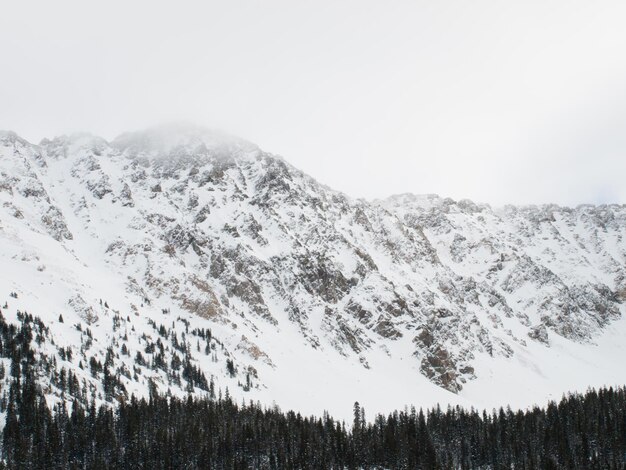 Verschneite Winterszene hoch im Berg. Colorado Rocky Mountains USA.