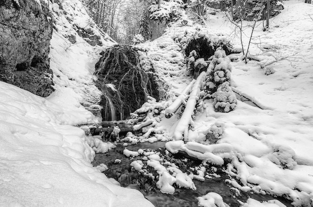 Verschneiter Wasserfall namens Nizny Jamisny vodpad im Winterwald der Slowakei