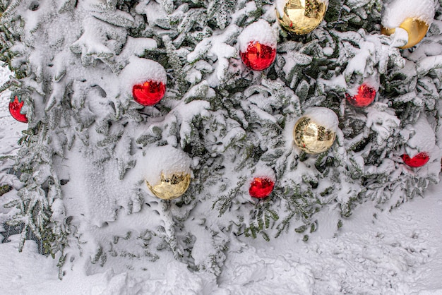 Verschneiter Weihnachtsbaum mit goldenen und roten Weihnachtskugeln