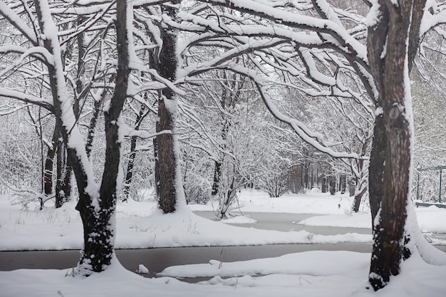 Verschneiter Winterpark und Bänke. Park und Pier zum Füttern von Enten und Tauben. Familie auf einem Spaziergang im Schnee bedeckt den Herbstpark.