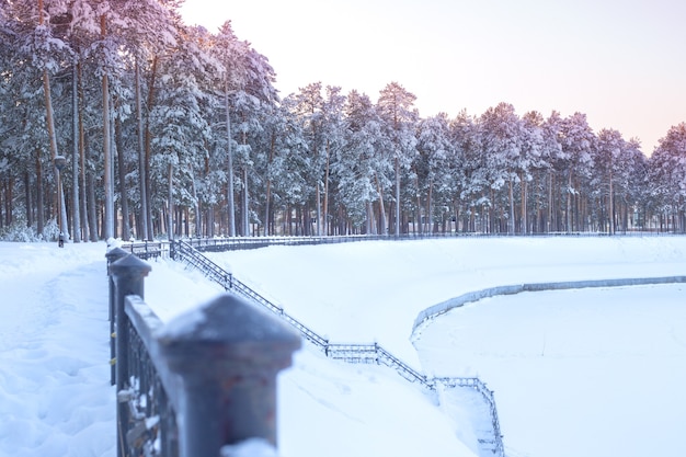 Verschneiter Winterwald am Fluss