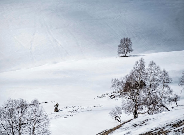 Verschneites Tal Natürlicher Hintergrund des Winters mit Kopienraum