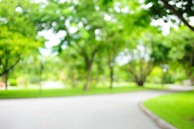 verschwommen vom natürlichen hintergrund des parks