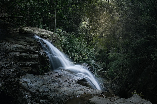 Verschwommener Wasserfallstrom fällt steilen Berg hinunter und verschwindet in der tiefen Schlucht Samui Thailand