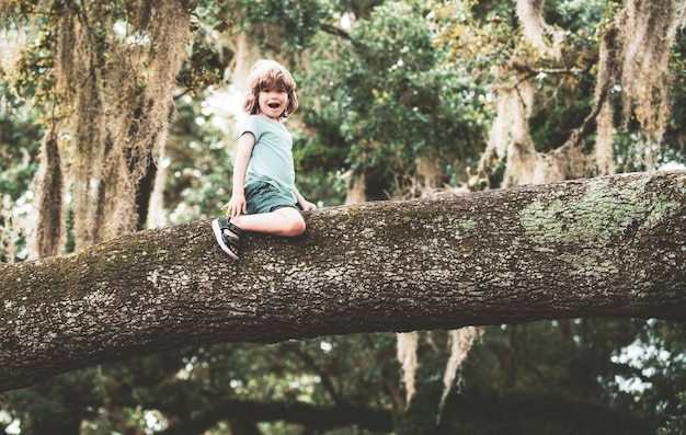 Versicherungskinder Kind, das auf Baumast sitzt Netter Kinderjunge, der auf den Baum klettert