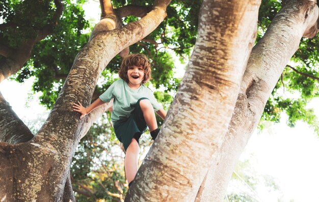 Versicherungskinder Kinderjunge im Wald, der auf Baum in der Landschaft klettert Krankenversicherungskonzept für f