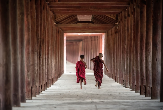 Verso do principiante budista está andando no pagode, myanmar