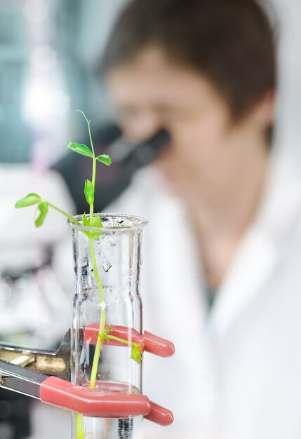 Versuchspflanze in einer Glasröhre mit einem Mikroskopiker im Laborkittel