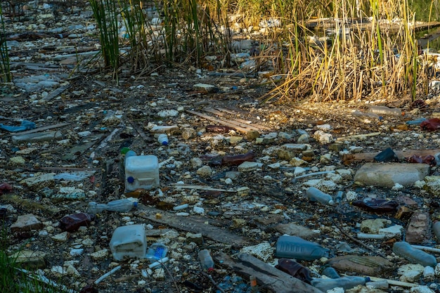 Vertedero de basura en estanque Vertedero de ciudad en el territorio del río Contaminación ambiental por desechos domésticos Desastre ecológico en países subdesarrollados Basura en el bosque y en la orilla del mar