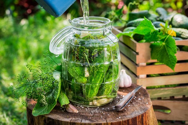 Verter agua en un frasco con pepino encurtido