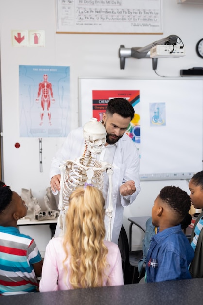 Foto vertical de diversos professores do sexo masculino e alunos estudando esqueleto no espaço de cópia da aula de biologia