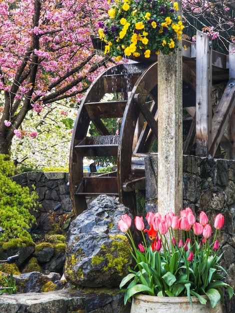 Vertikale Ansicht einer Wassermühle, die von Blumenpflanzen in einem schönen Garten umgeben ist