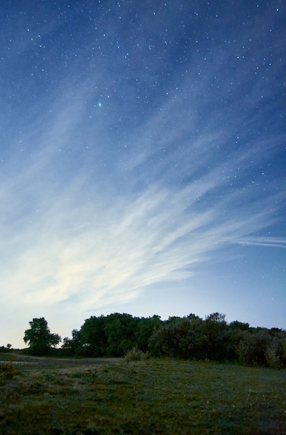 Vertikale Aufnahme einer Naturlandschaft in der Nacht mit Wolken und Sternen