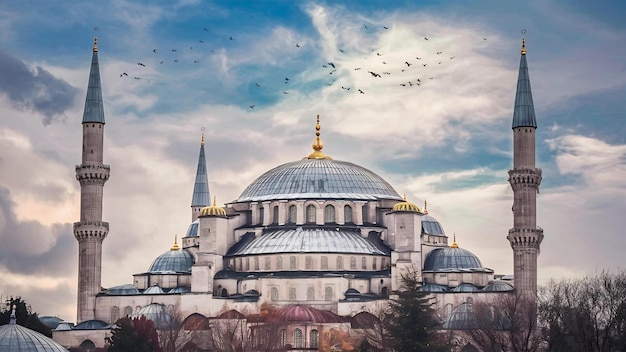 Vertikale Aufnahme einer schönen Moschee in Istanbul mit einem Kuppeldach und einem wunderschönen bewölkten Himmel mit Vögeln