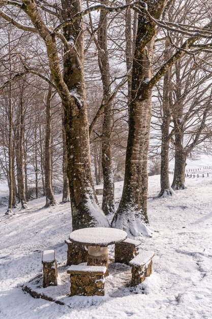 Vertikale aufnahme eines picknickplatzes mit schneebedeckten bänken auf dem gipfel des berges aizkorri, gipuzkoa