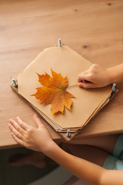 Foto vertikale beschnittene aufnahme eines nicht erkennbaren kleinen mädchens, das ein schönes trockenes ahornblatt hält, um zu hause ein herbarium zu erstellen