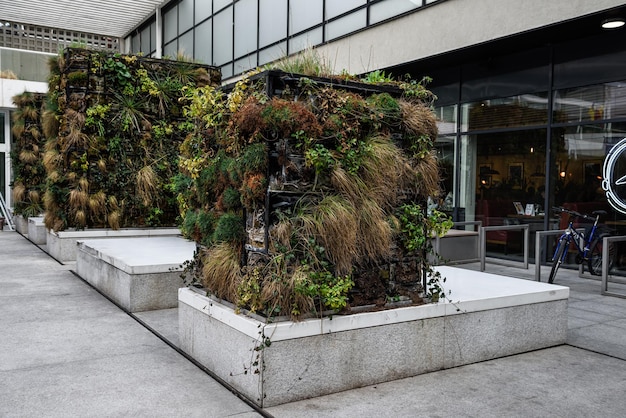 Vertikale Landschaftsgestaltung Installation im Freien