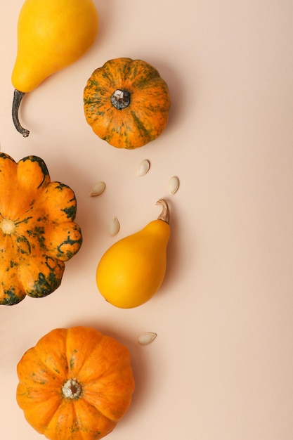 Vertikaler Hintergrund mit verschiedenen Arten von Kürbissen darauf Trockene Herbstblätter und Samen in der Nähe