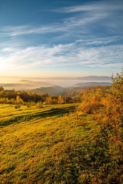 Vertikales Foto von dichtem Nebel in den Bergen bei Sonnenaufgang Herbstsaison Schöner Hintergrund